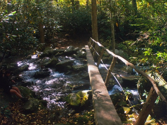 Lower Mt. Cammerer Trail